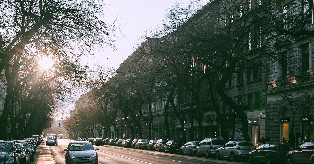 How do I ensure that I cook scallops all the way through? - Cars driving on asphalt road between parked automobiles and residential houses in modern city district with sun shining through tree branches