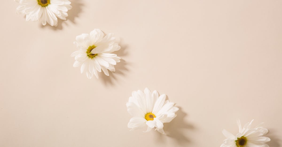 How do i get rid of burnt smell from kheer? - From above of tender fresh chamomile flower heads placed on beige surface in light studio