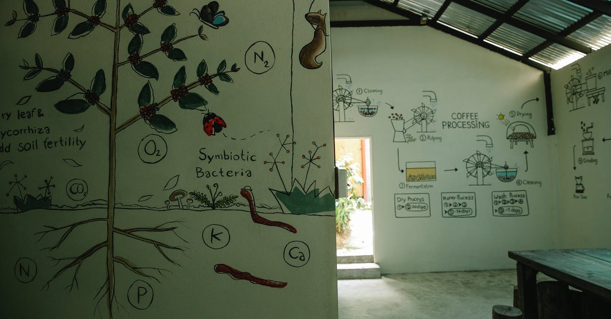 How do I minimize the risk of bacteria growth in bean sprouts? - Interior of spacious house with various pictures on white walls showing process of coffee production in farm
