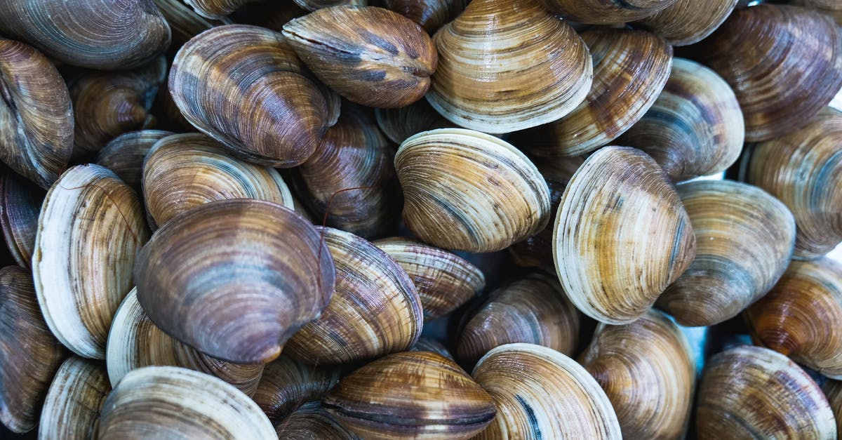 How do I prepare fresh clams for clam chowder? - Brown and Gray Wooden Round Decors