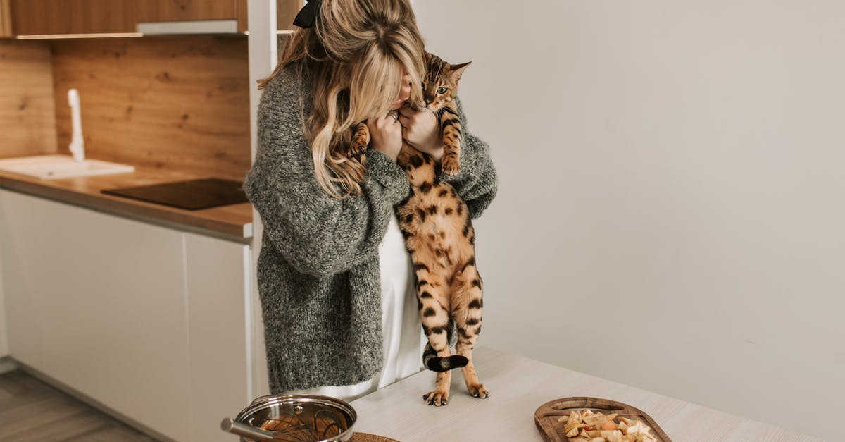 How do I reheat a casserole in the oven? - Woman Wearing Gray Sweater Holding a Brown Cat