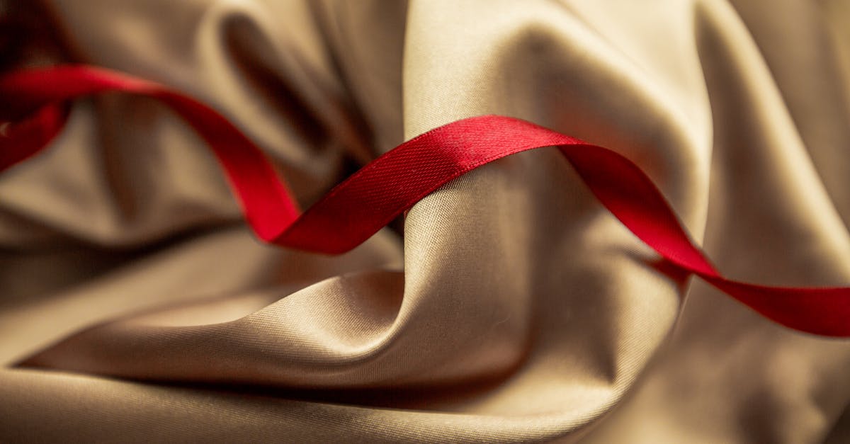 How do I roll or wrap up pasta into a log-like shape for presentation? - Red satin ribbon on golden silk cloth