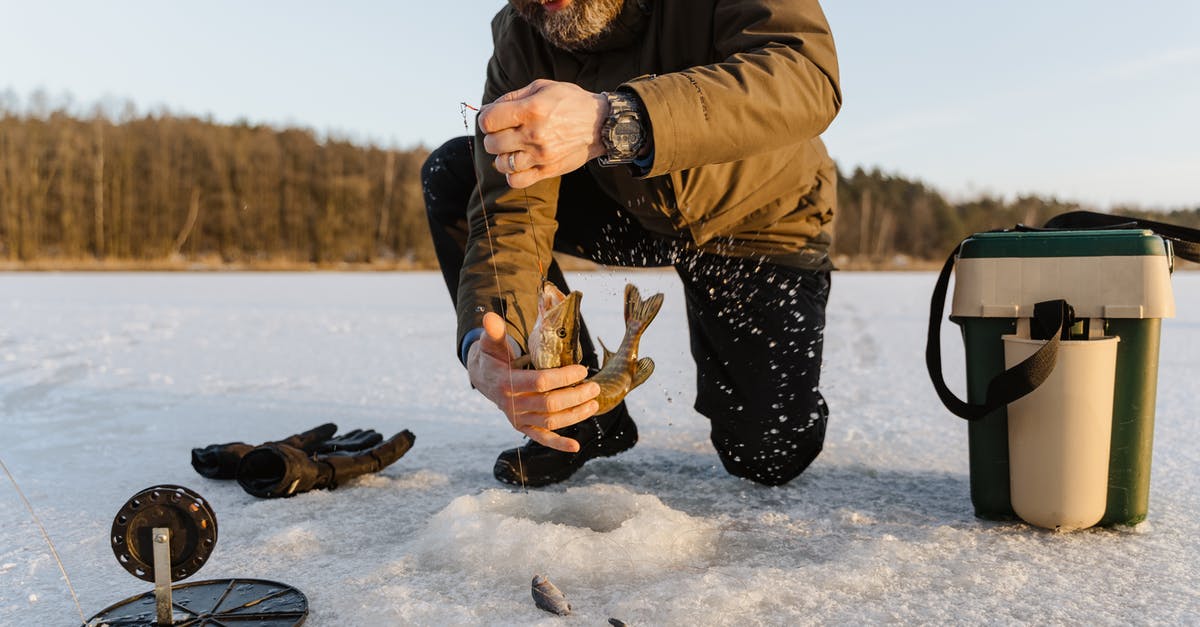 How do I separate two fish fillets that have been frozen together? - A Man Holding a Fish