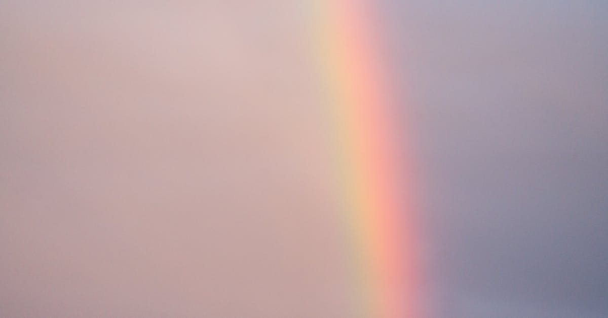 How do I tone down the intensity of raw onion? - Picturesque scenery of colorful rainbow effect on cloudless sky in nature on summer day after rain in countryside