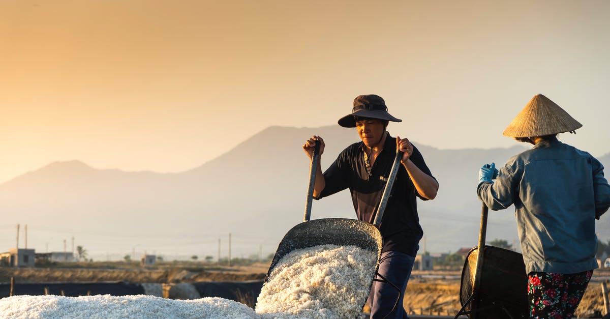 How do potatoes work against salt - Man In Black Hat Holding Wheelbarrow