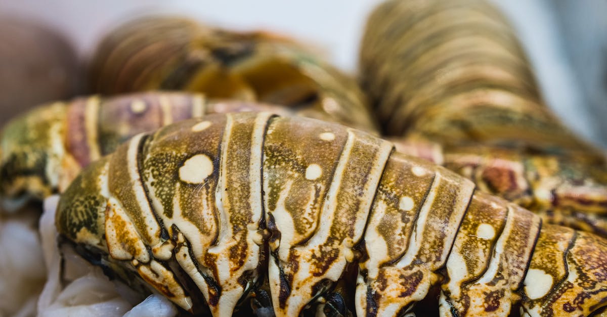 How do you cook frozen Lobster Tails? - Macro Photography of Fresh Lobster Tail