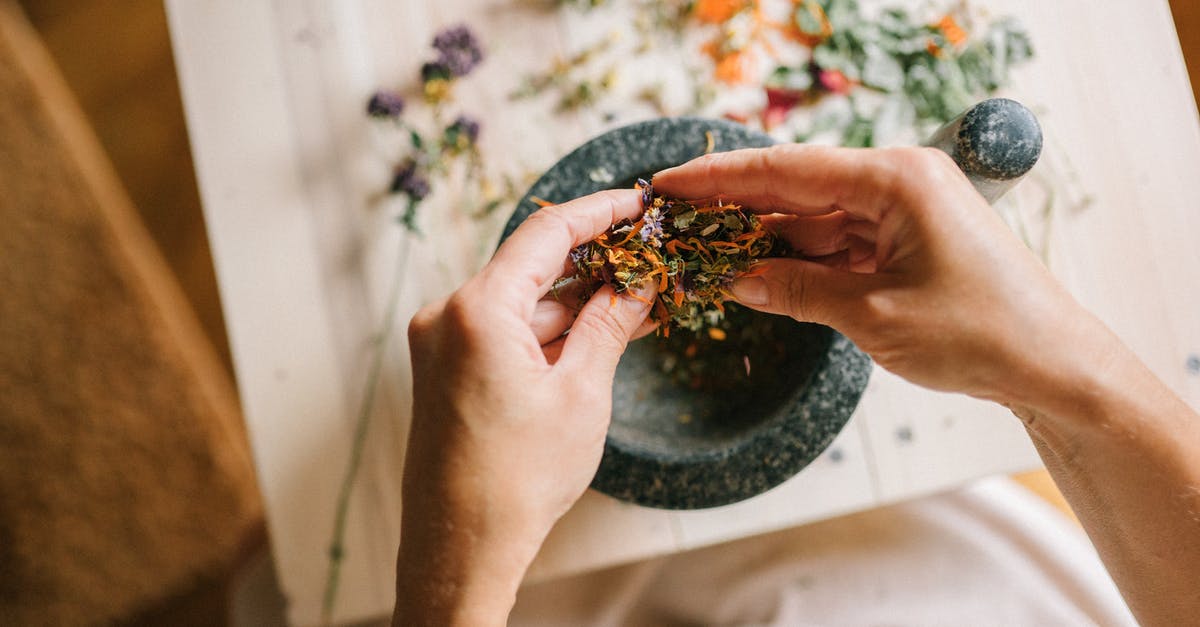 How do you dry herbs? - Person Holding Brown and Black Butterfly