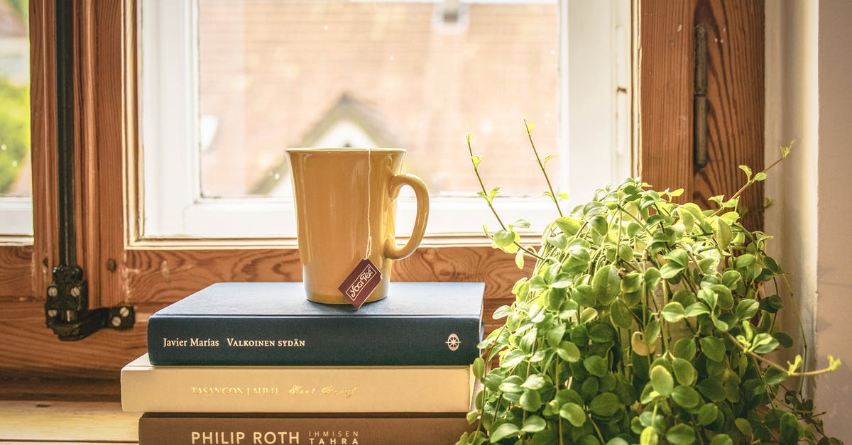 How do you get burned wood off of a glass stovetop? - Green Leafed Plant Beside Books and Mug