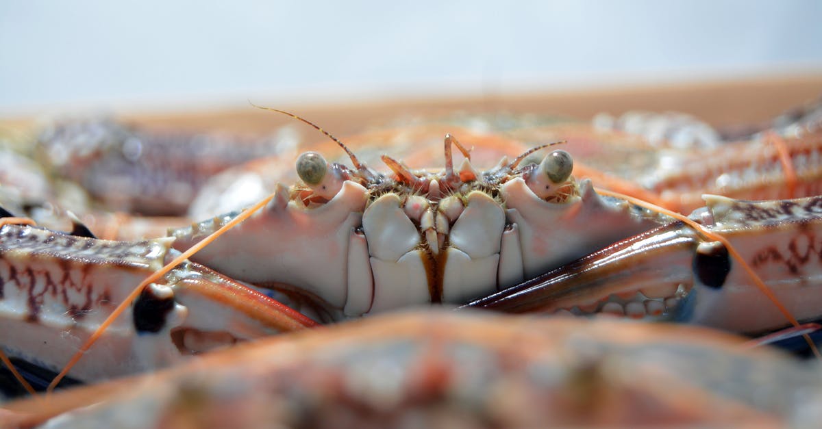 How do you properly defrost frozen fish? - Close-Up Photo of Crab