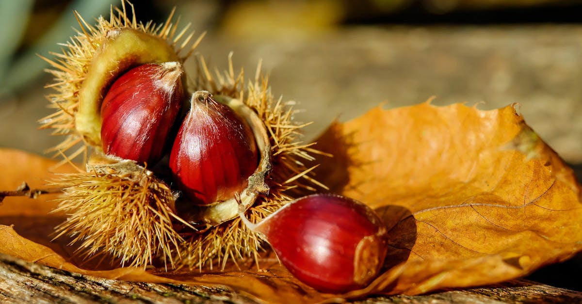 How do you tell if a cheese rind is edible? - Horse Chestnut on Brown Surface