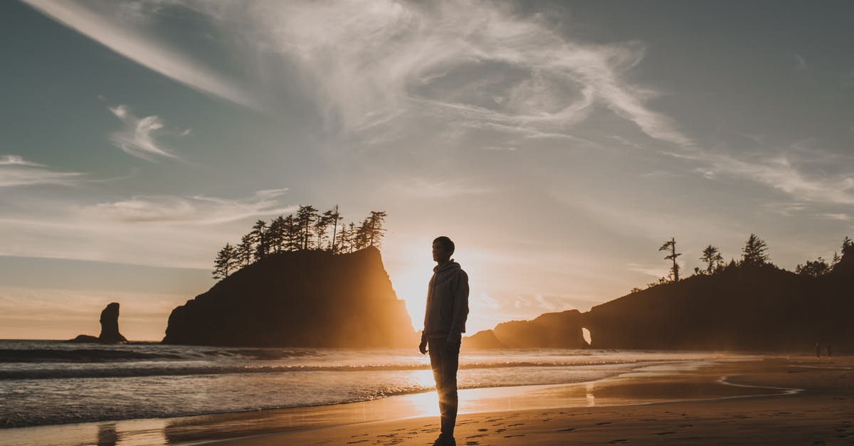 How does lentils' nutritional profile change in germinating lentils in water? - Silhouette of Man Standing on Beach during Sunset