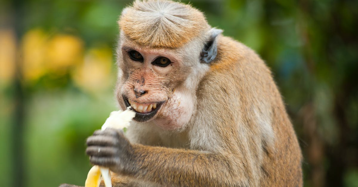 How does liquefying fruit compare to eating them whole? - Brown Monkey