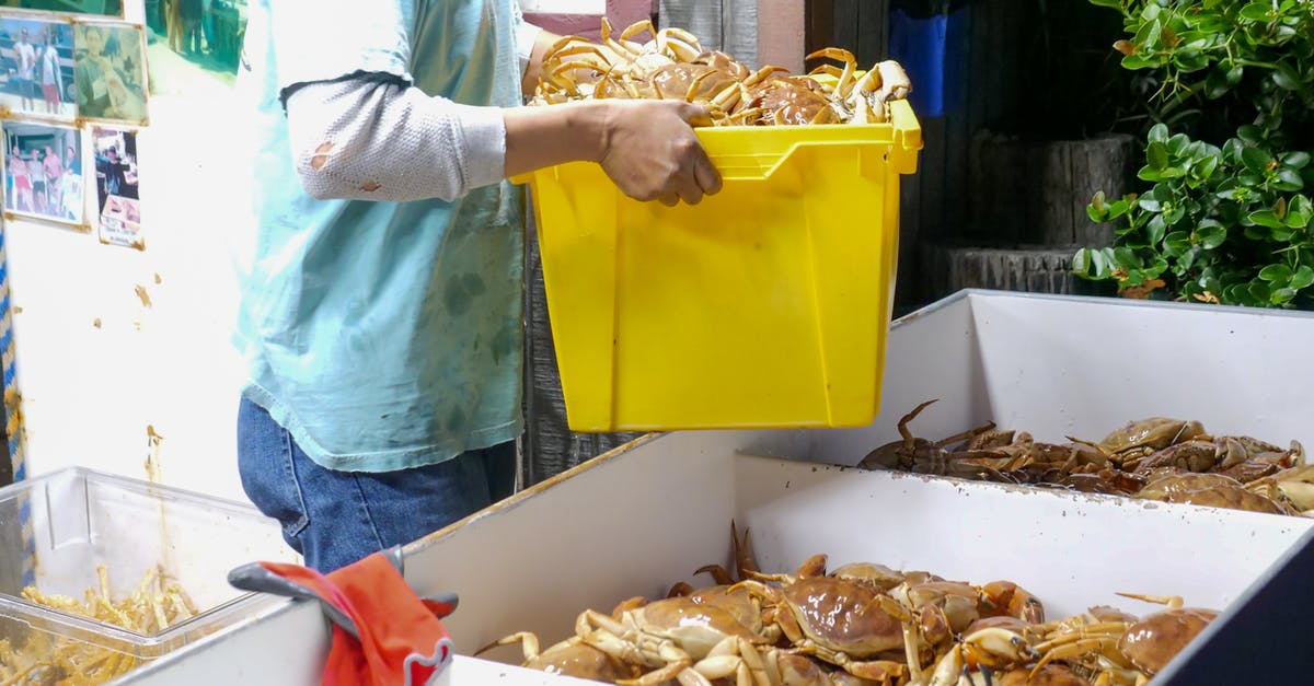 How efficient is stock for protein extraction? - Person in Blue Long Sleeve Shirt Holding Yellow Plastic Container