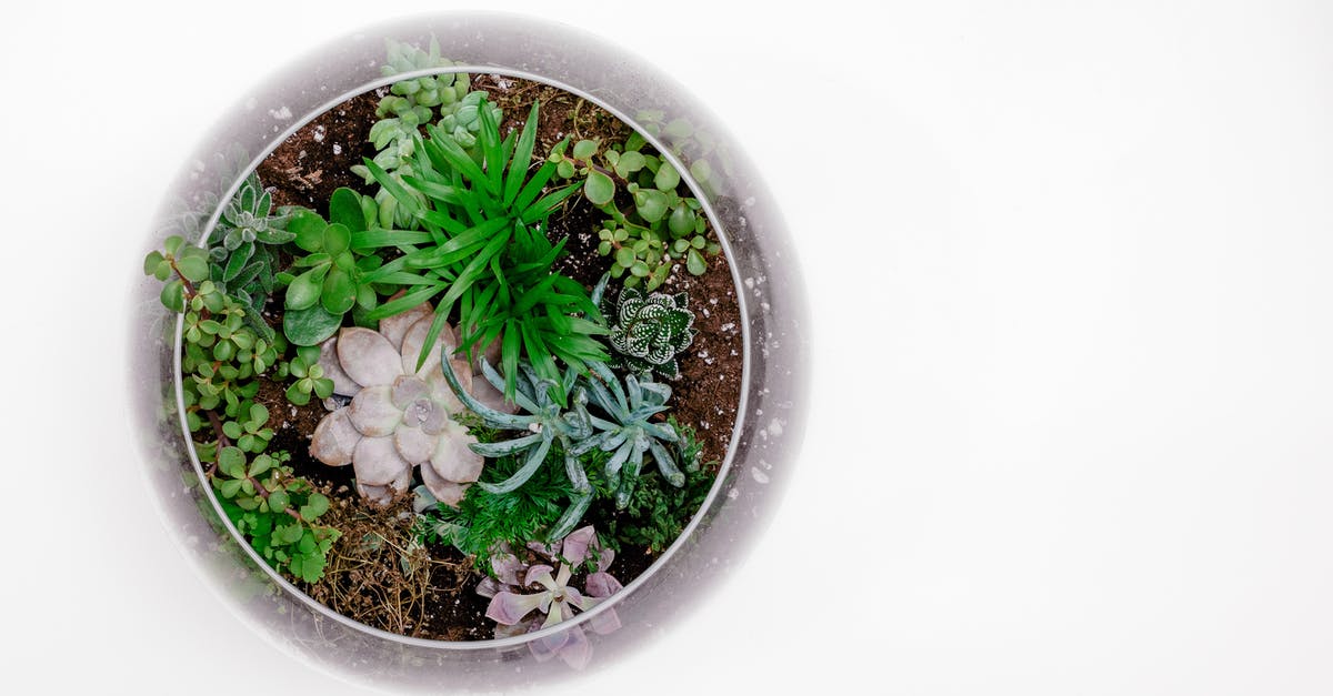 How important is isolating food in a fridge? - Green Succulent Plant in Terrarium