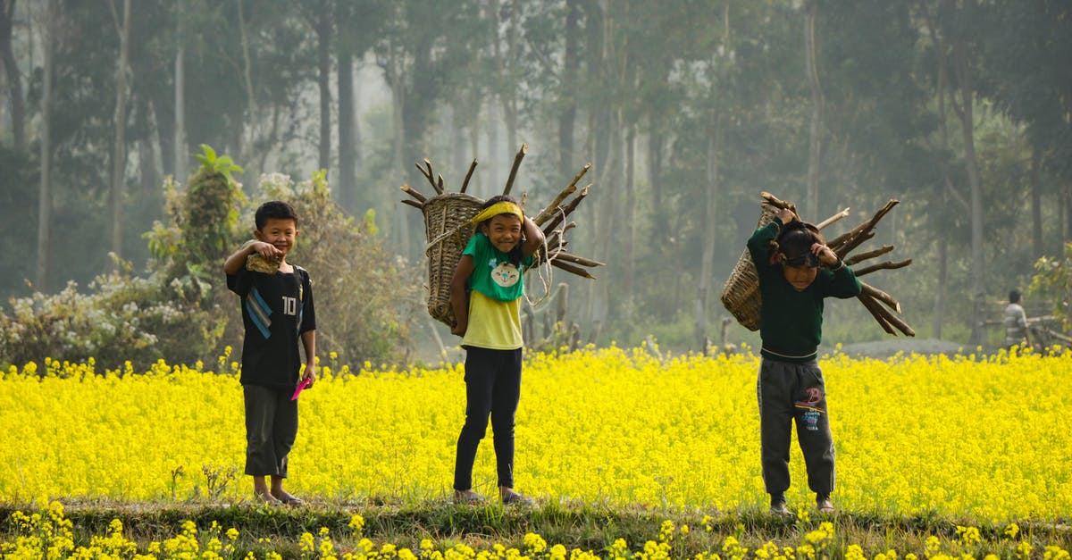 How is mustard made? - Three Boy's Standing Holding Branches