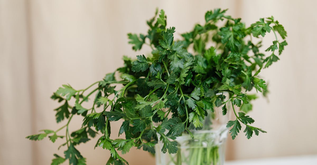 How long can I leave an uncooked steak out? - Bright green parsley in glass vase on table