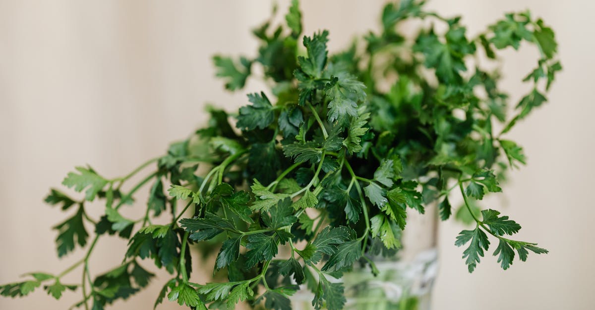 How long can I leave an uncooked steak out? - Bunch of bright green fresh parsley in decorative glass vase placed on white table