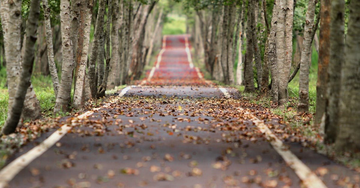 How Long Can I Store Seasoned, Vacuum Sealed Chicken [duplicate] - Empty Road Between Trees