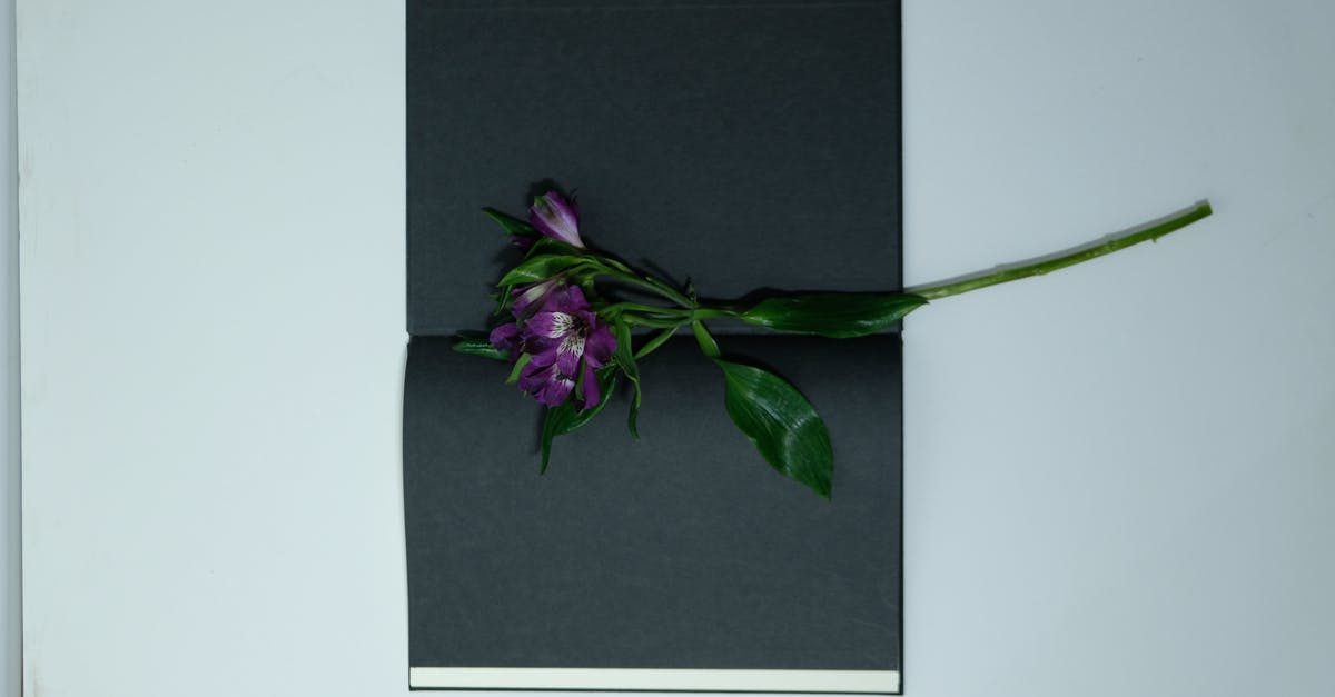 How long do unrefrigerated opened canned peppers last? [duplicate] - Delicate violet flower in book with black pages