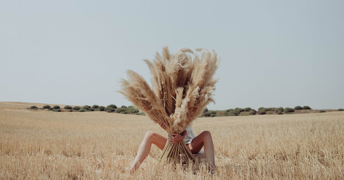 How long do you let a turkey rest after cooking? - Unrecognizable woman hiding behind dried grass