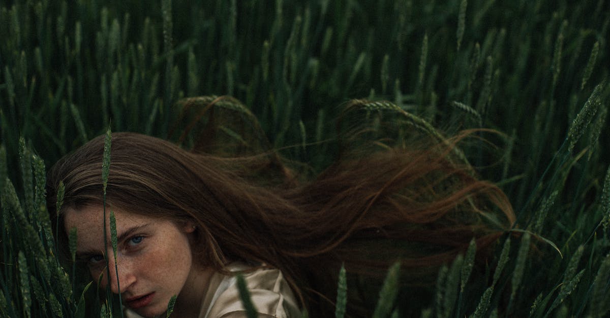 How long does a souffle stay up? - Blond Woman with Freckled Face Hiding in Crop Field