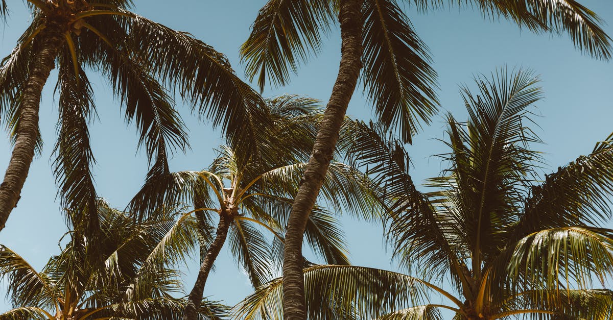 How long does coconut curry last in the fridge? [duplicate] - Coconut Palm Trees Under the Blue Sky