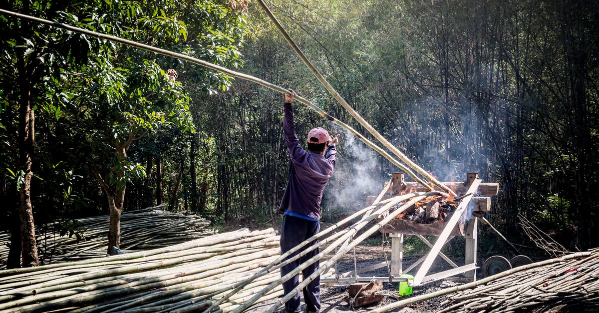 How long does it take to smoke a chicken? - Back view of anonymous male worker in casual wear standing near pile of bamboo sticks while drying thin long trunks in wooden construction with fire smoke near green trees