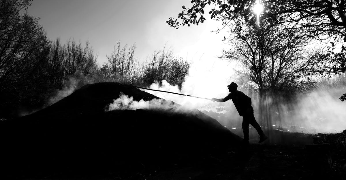 How long does it take to smoke a chicken? - Silhouette of Man Holding a Long Rod Under a Tree