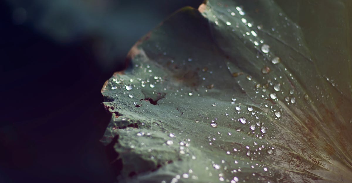 How long does lotus root stay fresh? - Selective Focus Photography of Plant