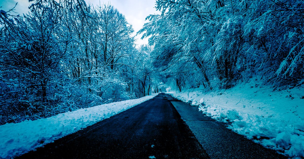 How long should I sear meat after thawing from frozen state? - Black Concrete Road Surrounded by Trees With Snow