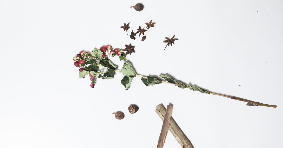 How long will a fresh herb paste last? - Top view of hypericum with long green stem and dried leaves near anise and sticks of cinnamon on white background