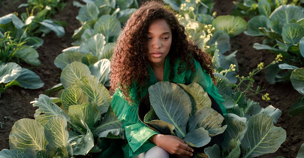 How long will ground beef stay good after being frozen? - Woman Sitting on Ground and Embracing Brown Hat Full of Cabbage Leaves