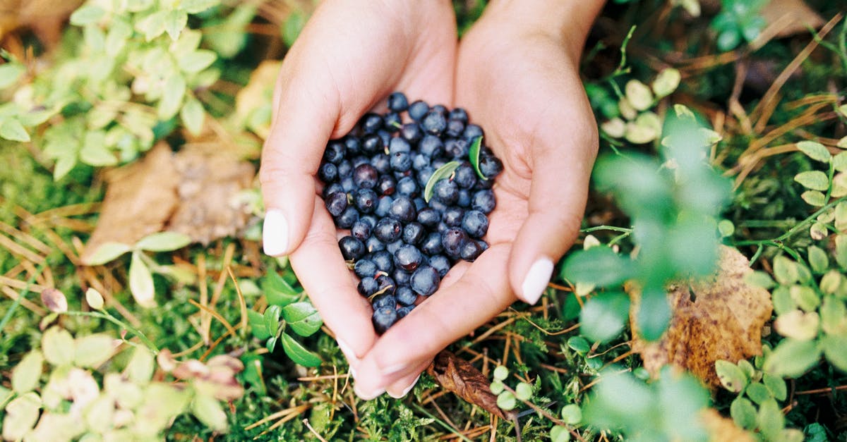 How much is in a handful of spinach? - Person Holding Blue Berries