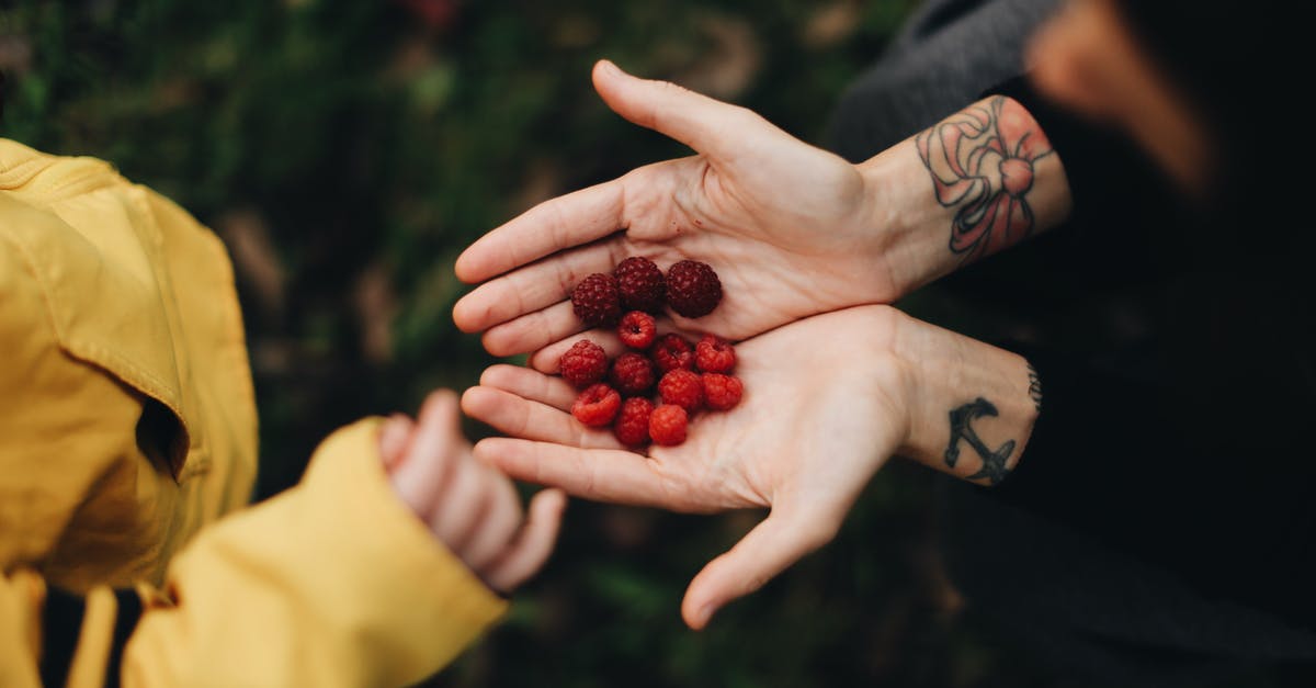 How much is in a handful of spinach? - From above of crop anonymous person demonstrating handful of ripe sweet raspberry in garden in daylight