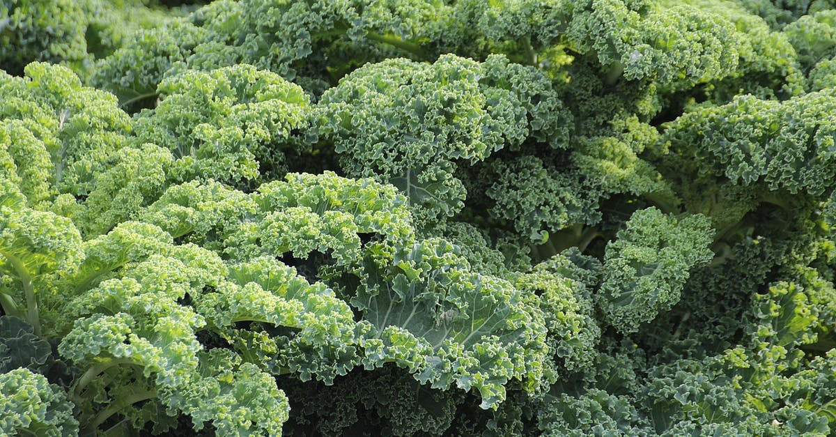 How much kale is a "bunch?" - Green Plant