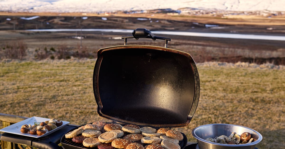 How much meat is in one wild coconut? - From above of buns and meat placed on metal grill on terrace opposite snowy mountains