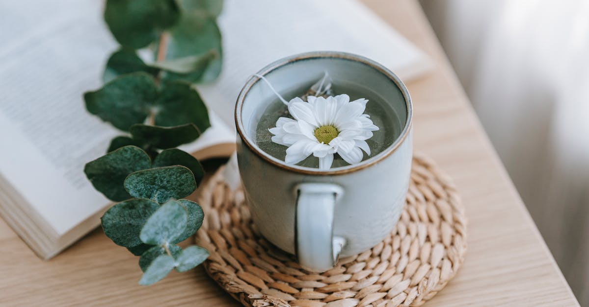 How much tea is ideal out of one tea bag? - Green tea with blooming Chrysanthemum near Eucalyptus on table