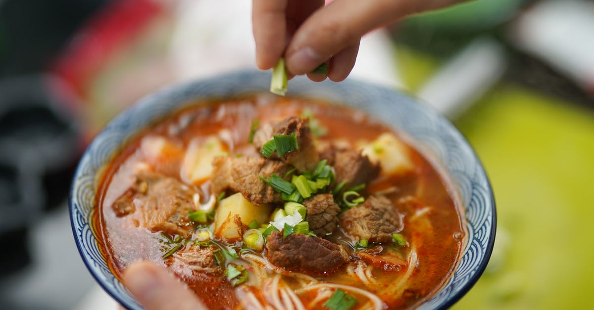 How much water in potato-leek soup (Vichyssoise)? - Noodles Soup With Meat on Bowl