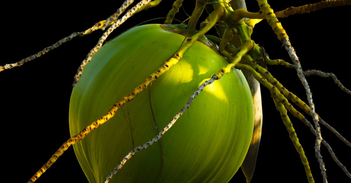 How should I keep date palm fruit at my home? - Green Coconut Shell