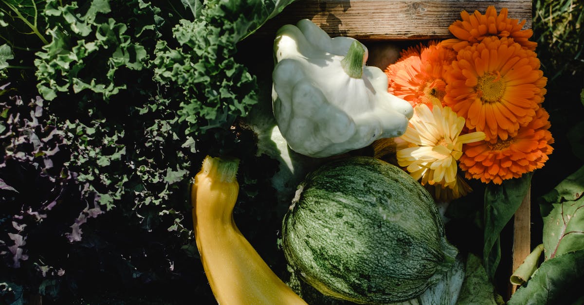 How should I use extra summer squash? - White and Orange Flower Beside Green Cucumber