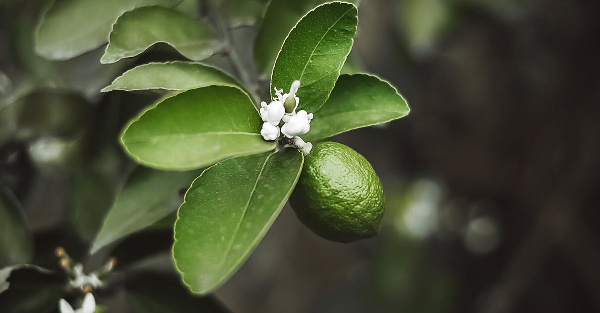 How should I use lime leaves when making Thai green curry? - White Flower Bud With Green Leaves