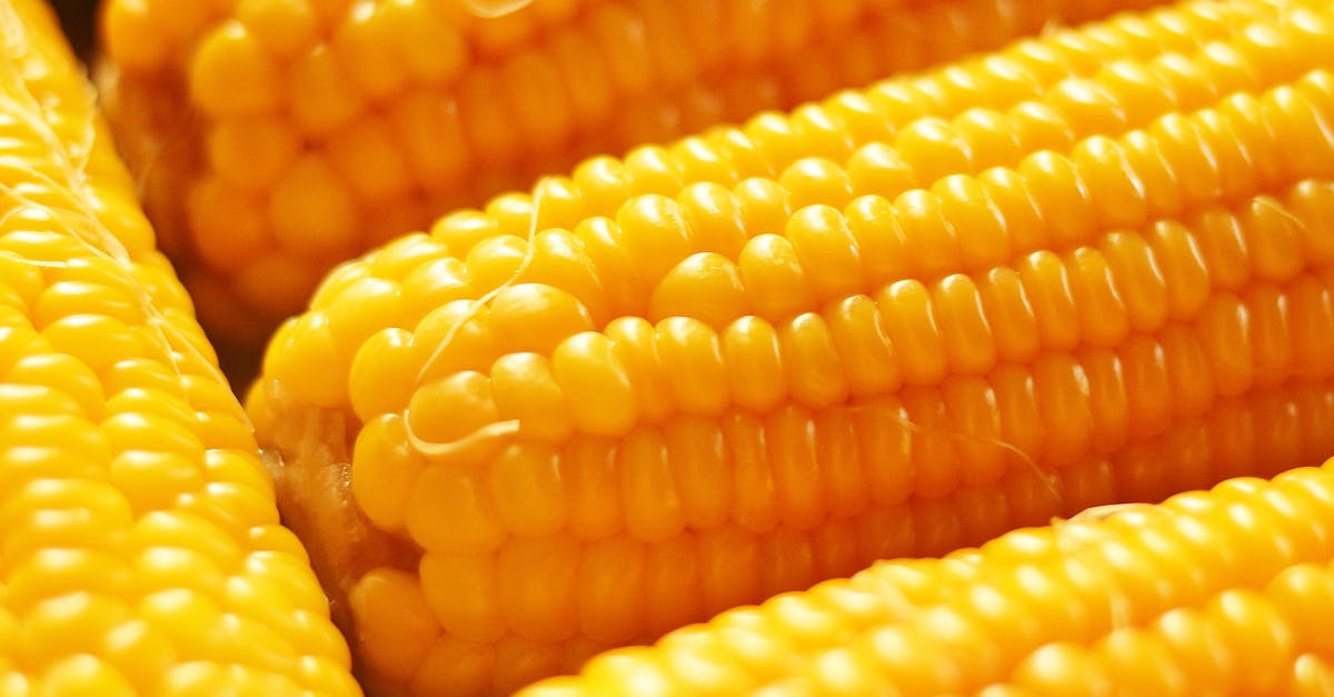 How to add creaminess to cooked corn chowder; mine is too thick? - A Close-up Photo of Delicious Yellow Corn on the Cobs