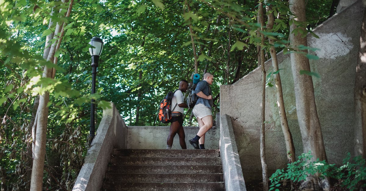 How to add water/milk to the sunny side up eggs? - Side view of active multiracial travelers walking upstairs in green park in sunny day