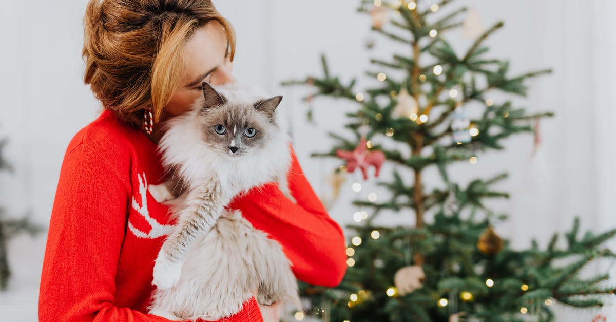 How to avoid fluffy pumpkin pie [duplicate] - Woman in Red Sweater Holding White and Gray Cat