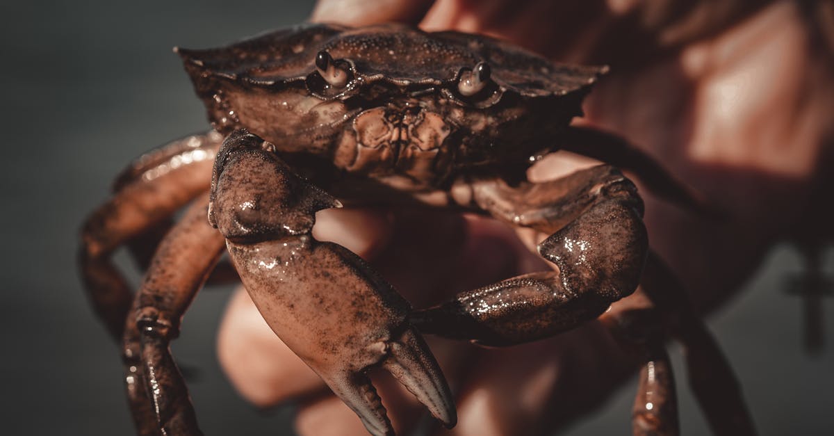 How to best hold wild rice - Crop anonymous person holding wet crab in hand while standing on sea beach at sunset