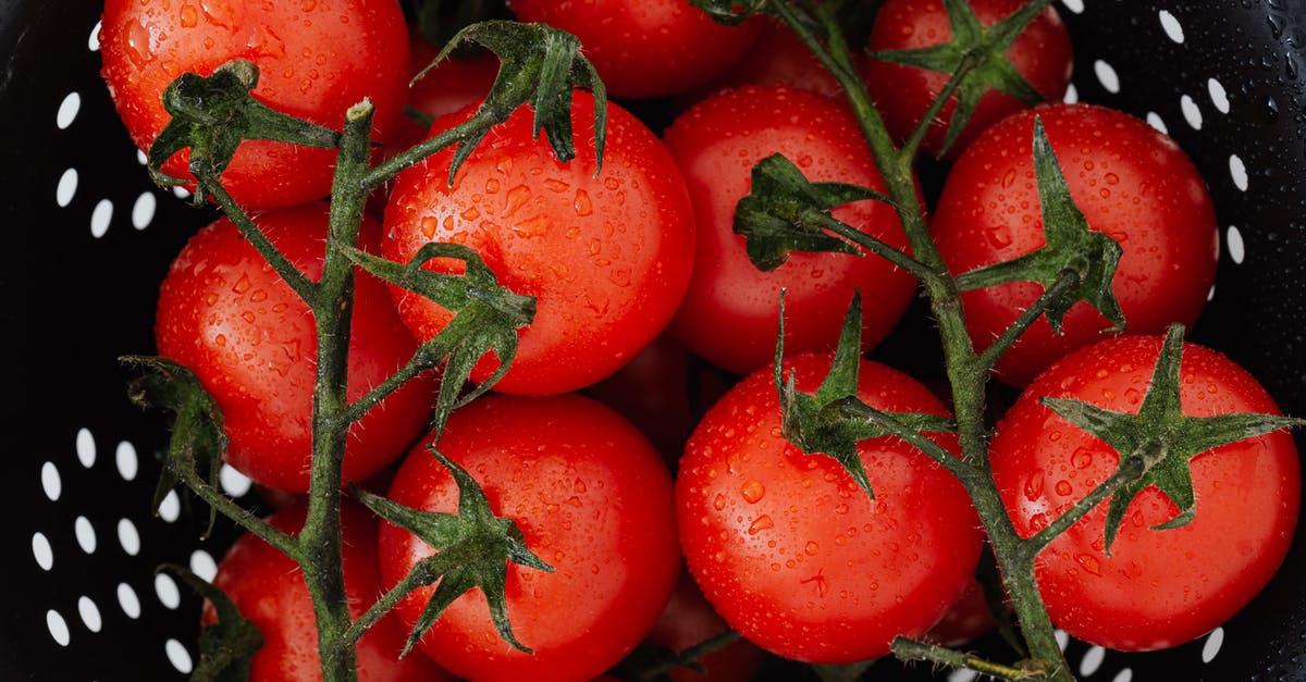 how to clean a tomato [duplicate] - Top view of ripe red tomatoes with drops on branches placed in strainer