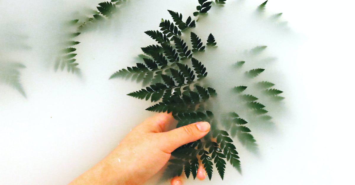 How to clean the rubbery skin from monkfish before cooking? - Person Holding Fern