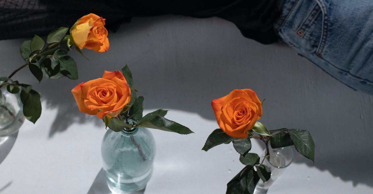 How to clean up the smell of egg from a pot? - From above of crop anonymous female in jeans near orange roses in vases with clean water