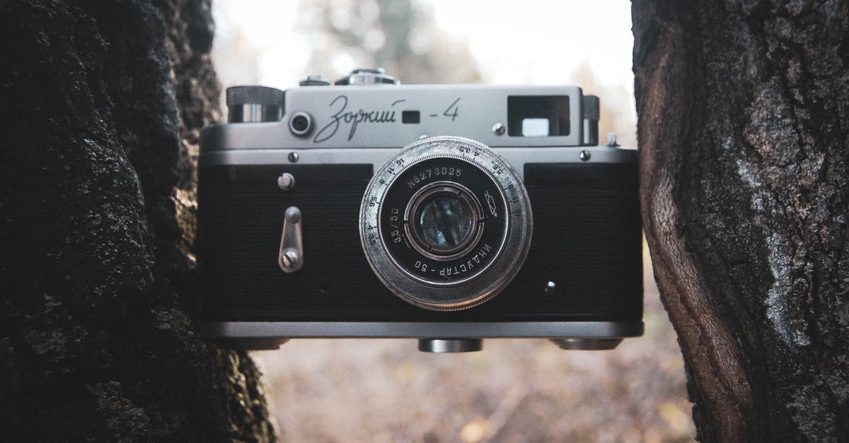 How to convert between flours? - Retro Camera Wedged Between Trees