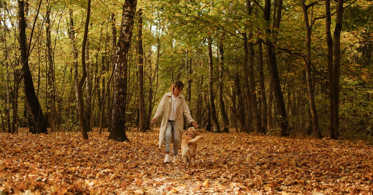 How to counteract excessive saltiness in dried fish? - Woman in White Dress Walking on Brown Leaves on Forest